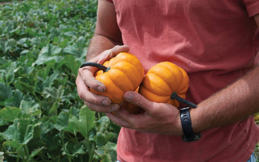 Pumpkins in Pots? Yes you can!!