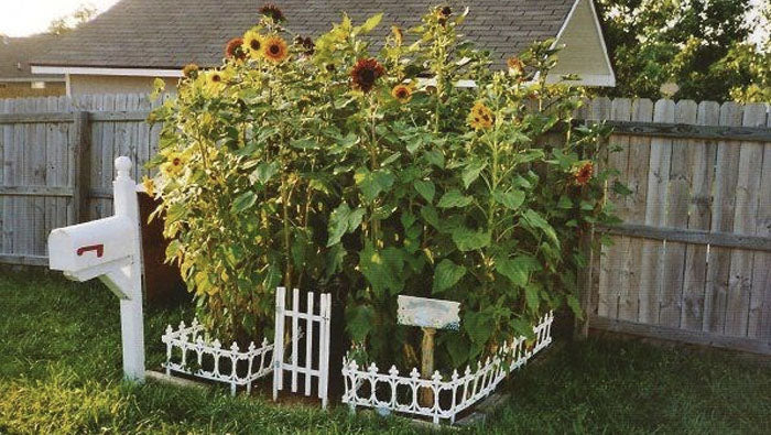 Add a little fence, gate and mailbox for more whimsy!