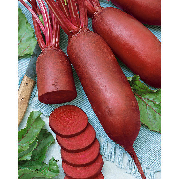 Cylindra Beet Seeds