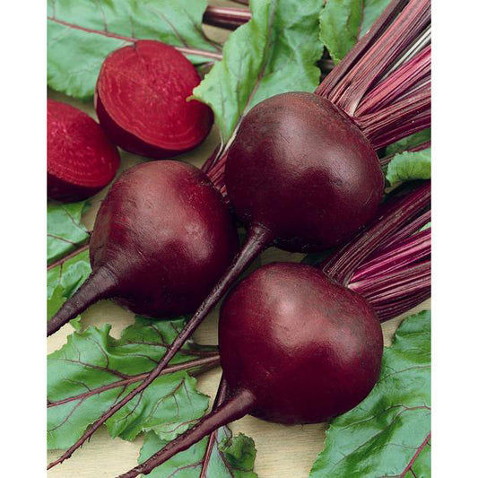 Detroit Dark Red Beet Seeds