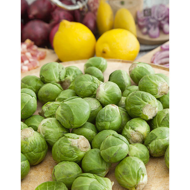 Long Island Improved Brussels Sprouts Seeds