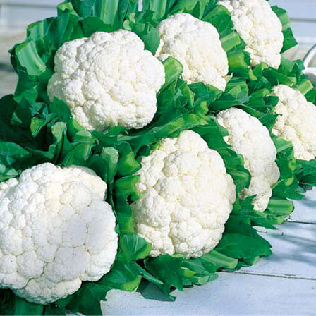 Snow Crown F1 Hybrid Cauliflower Seeds