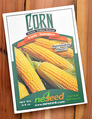 Early Sunglow Sweet Corn Seeds