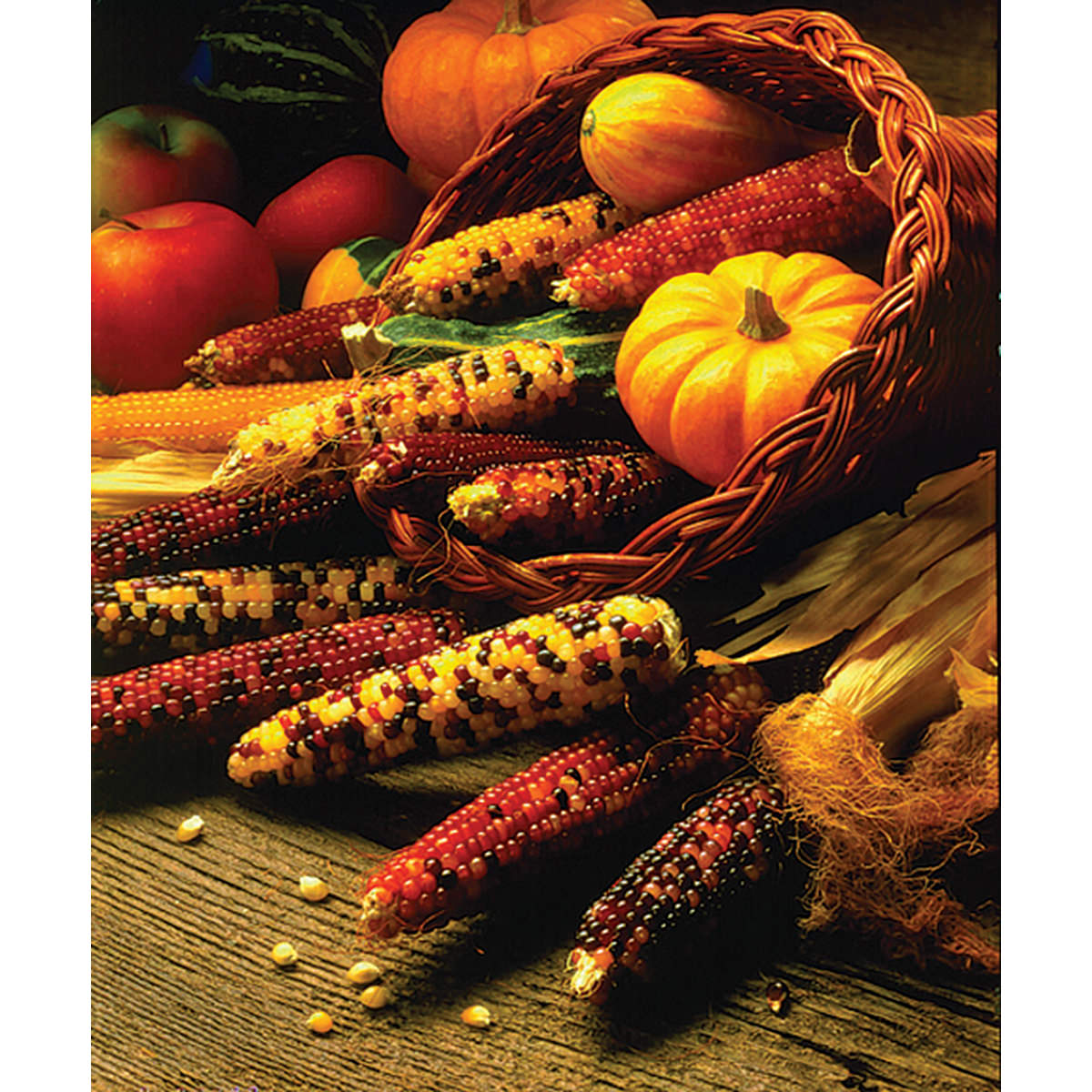 Mini Indian Mixed Ornamental Corn Seeds