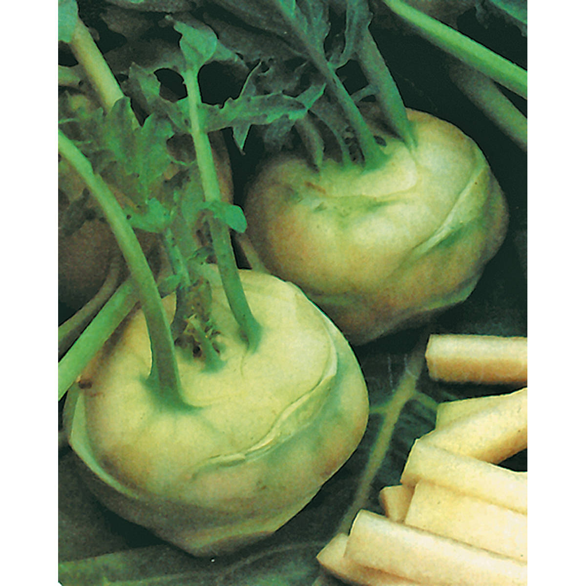 White Vienna Kohlrabi Seeds