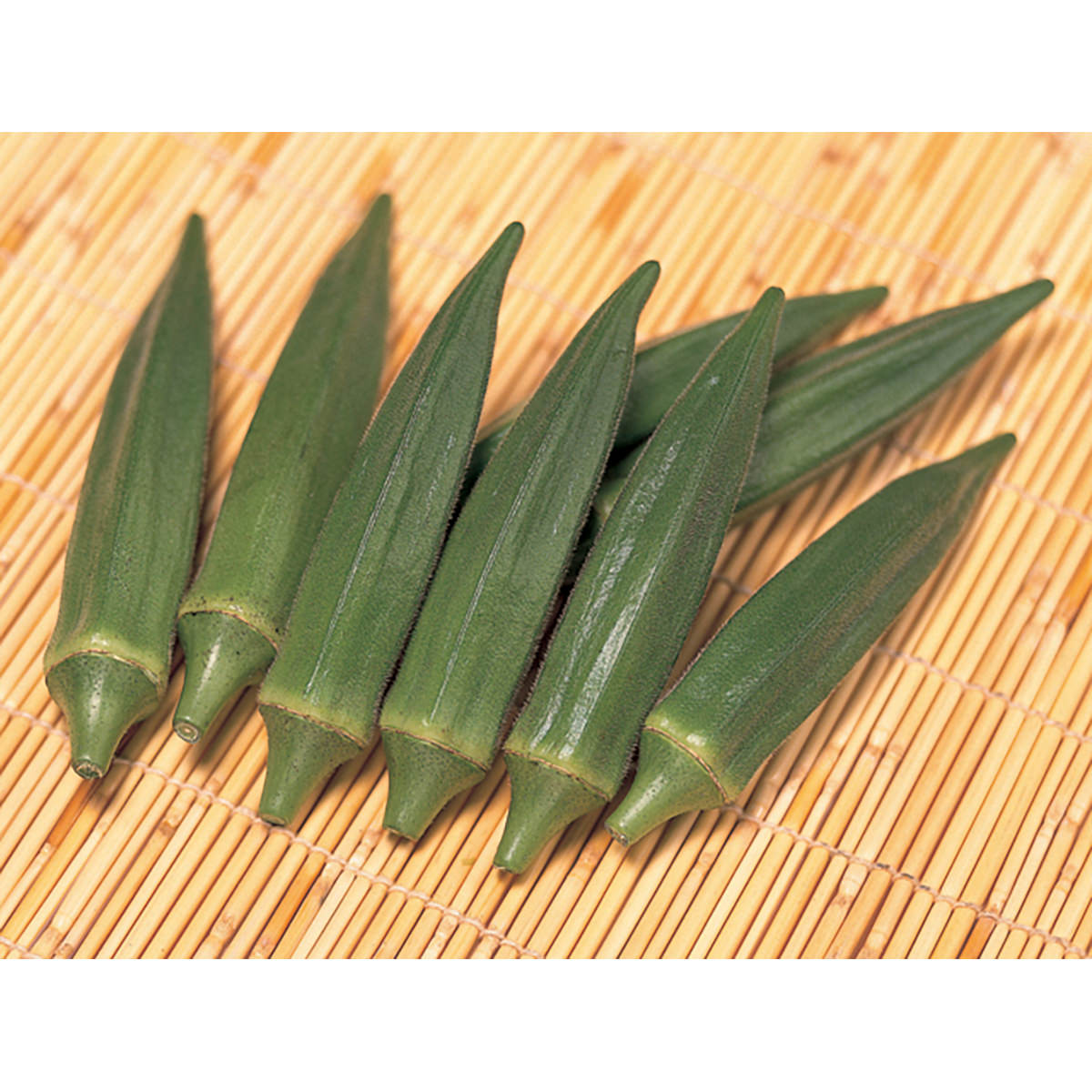 Jambalaya F1 Hybrid Okra Seeds