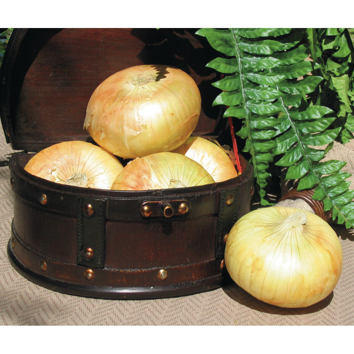 Sapelo Sweet F1 Hybrid Onion Seeds