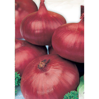 Red Creole Onion Seeds