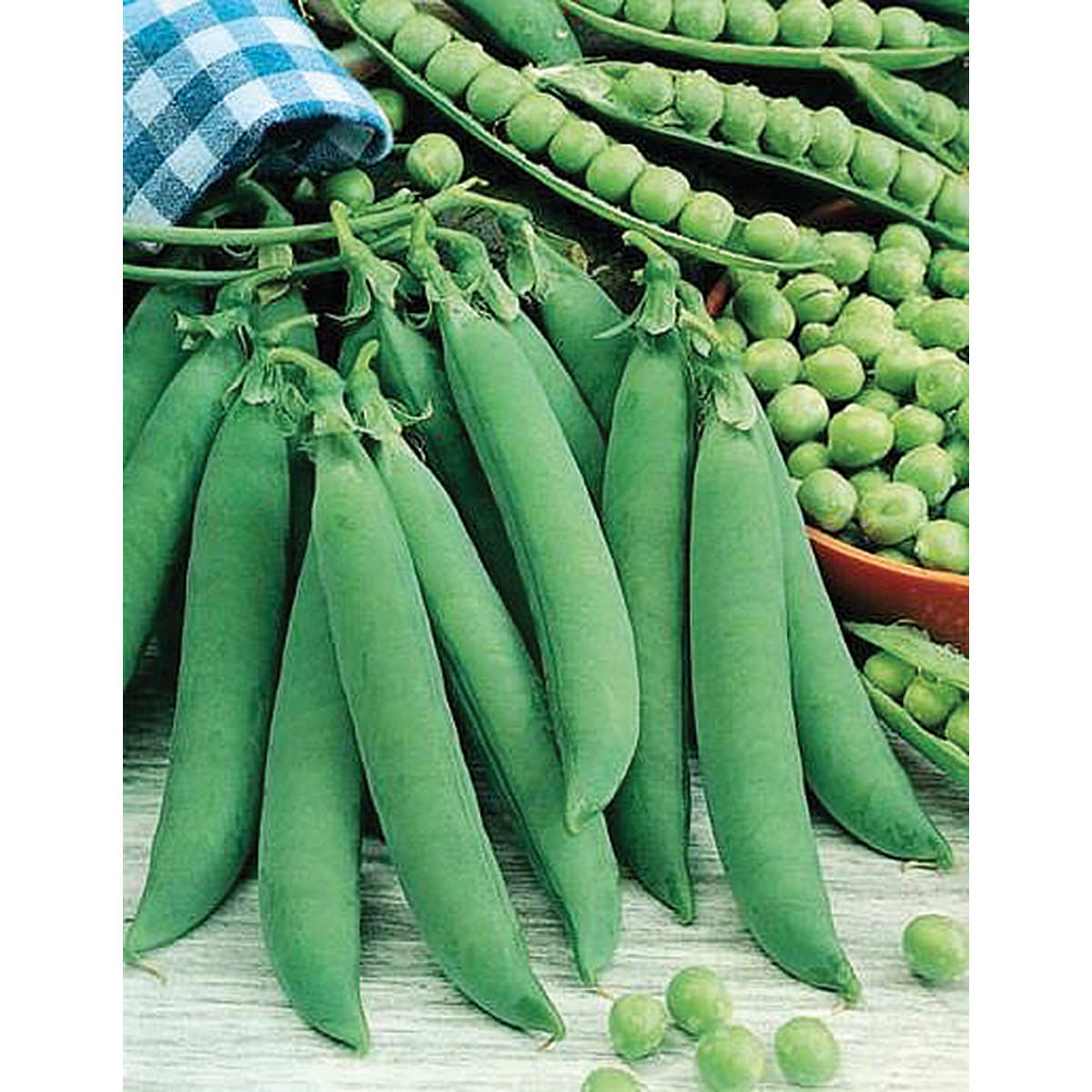 Certified Organic Laxton’s Progress #9 Shelling Pea Seeds