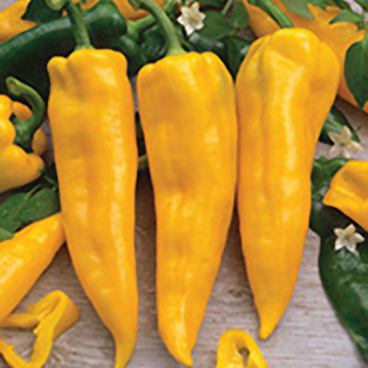 Golden Horn F1 Hybrid Sweet (Non Bell) Type Pepper Seeds