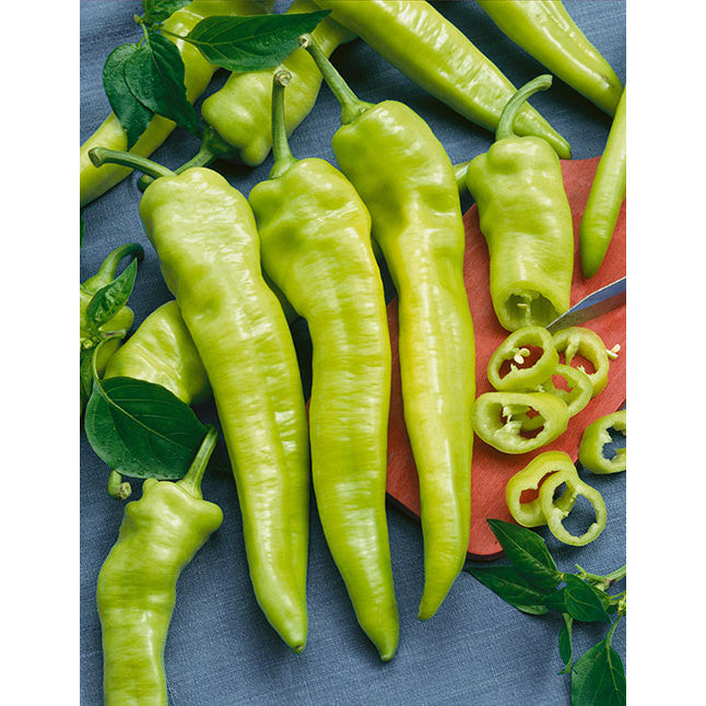Hungarian Yellow Wax (Hot Banana) Pepper Seeds