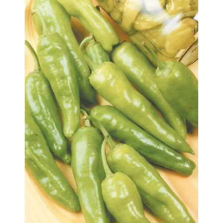Pepperoncini Greek Golden Pepper Seeds