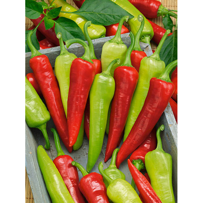 Sweet Banana (Sweet Hungarian) Sweet (Non Bell) Type Pepper Seeds