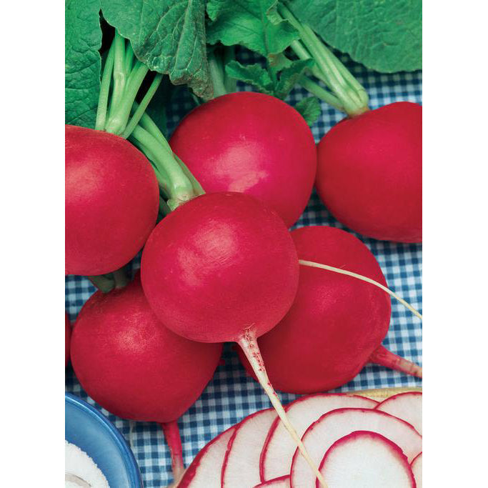 Champion Summer Radish Seeds