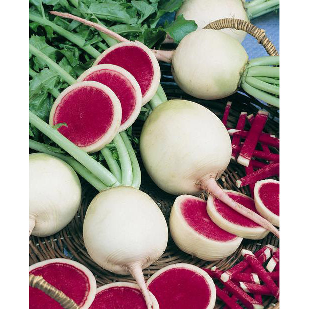 Watermelon Winter Radish Seeds
