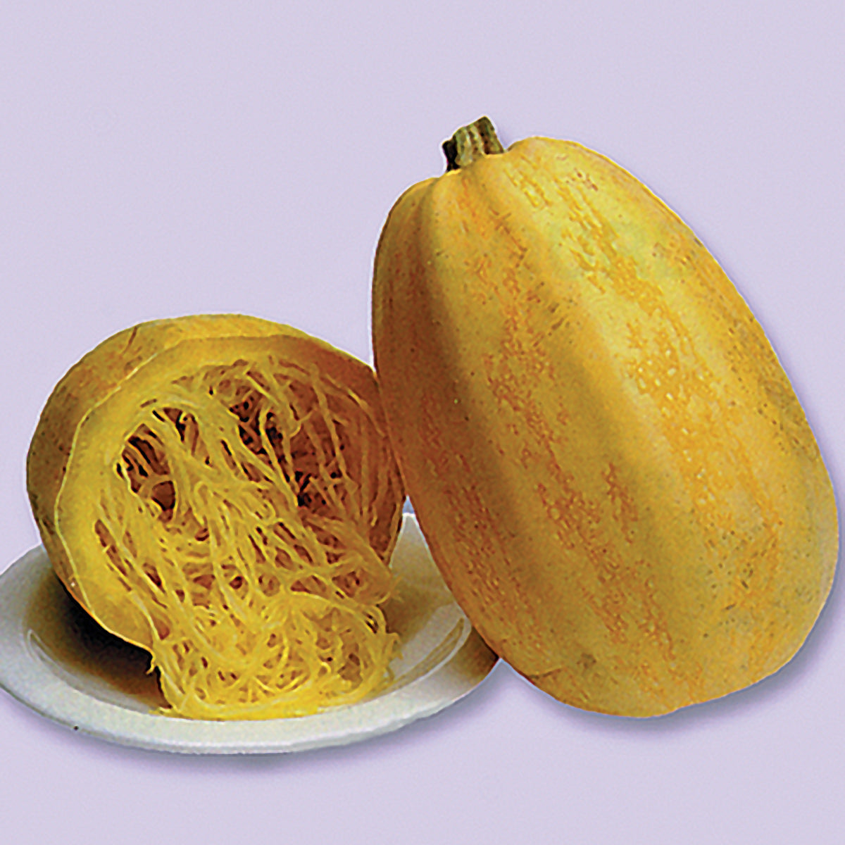 Vegetable Spaghetti Winter Squash Seeds