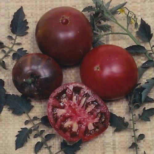 Black Krim Tomato Seeds