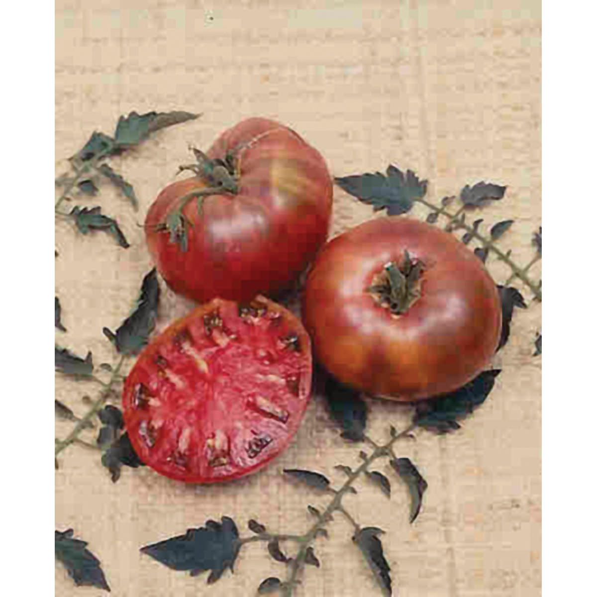 Cherokee Purple Tomato Seeds