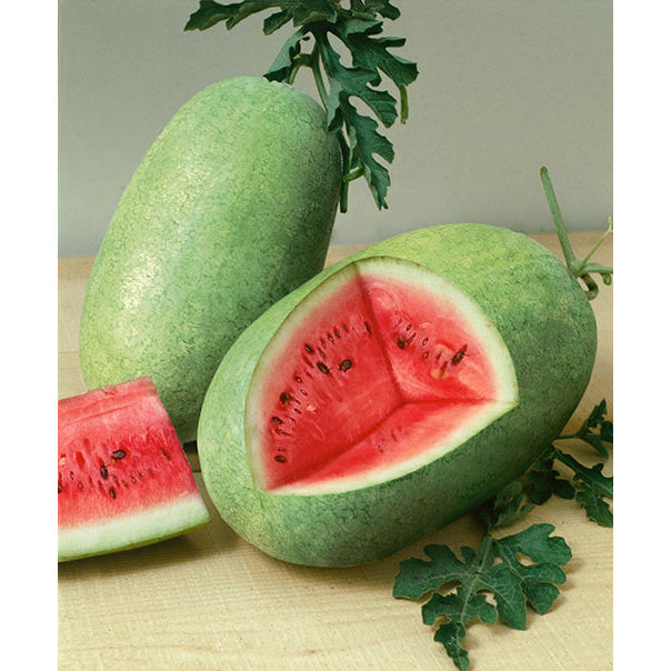 Charleston Grey Watermelon Seeds