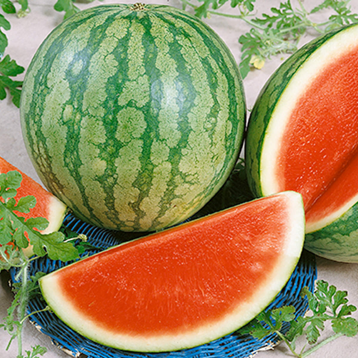 Triple Play F1 Hybrid Watermelon Seeds