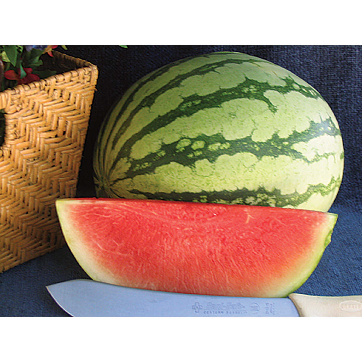Pee Dee Sweet F1 Hybrid Watermelon Seeds