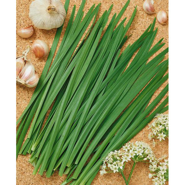 Garlic Chives Seeds