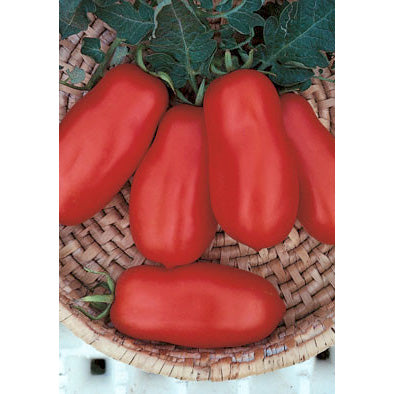 San Marzano 2 Tomato Seeds