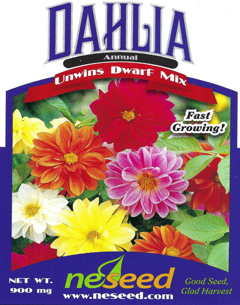 dahlia mix seeds Unwins Dwarf Mix Dahlia Seeds