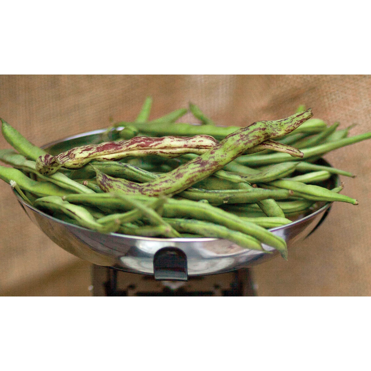 Rattlesnake Pole (Snap) Bean Seeds