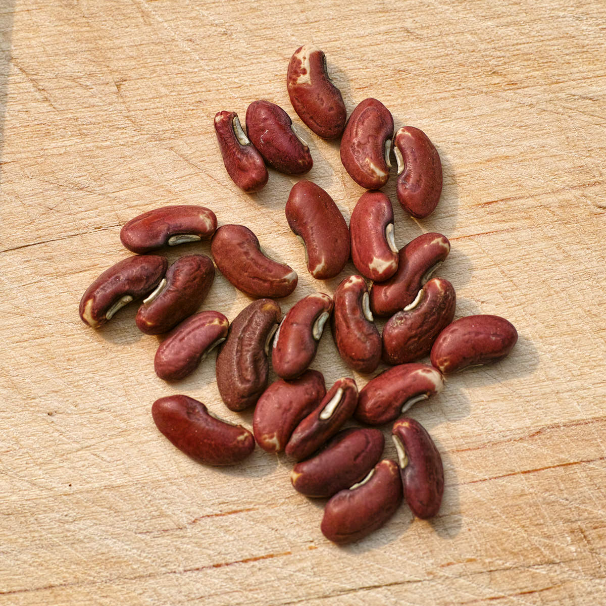 garden beans seeds Yardlong Pole (Snap) Bean Seeds