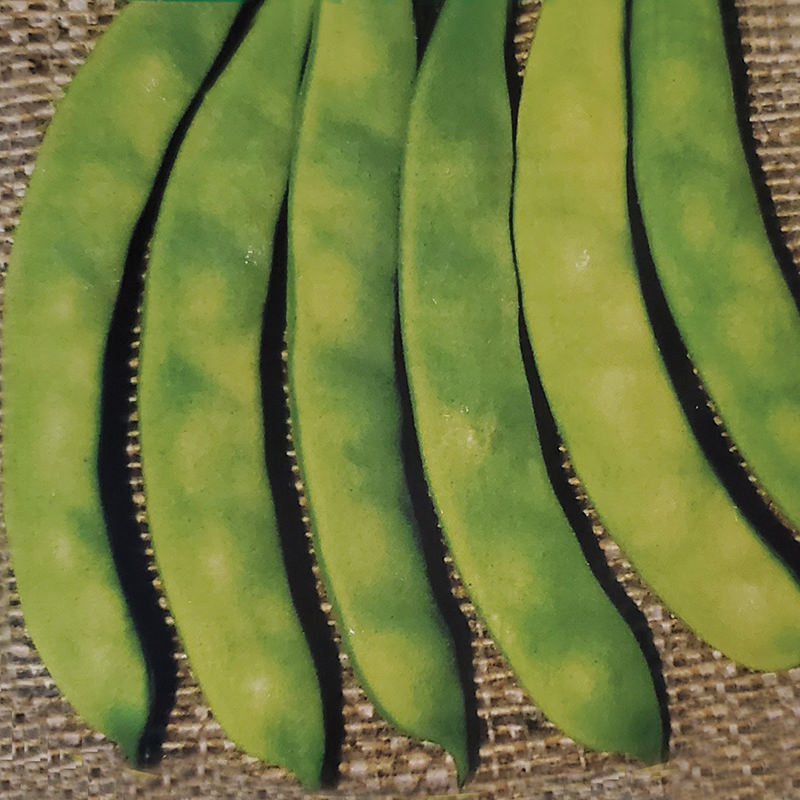 Albenghino Italian Pole (Snap) Bean Seeds