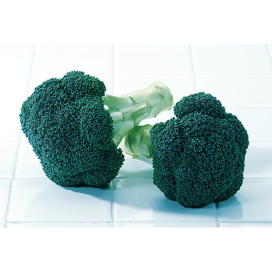 Green Magic F1 Hybrid Broccoli Seeds