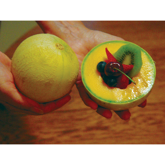 Tasty Bites F1 Hybrid Tania Type Melon Seeds