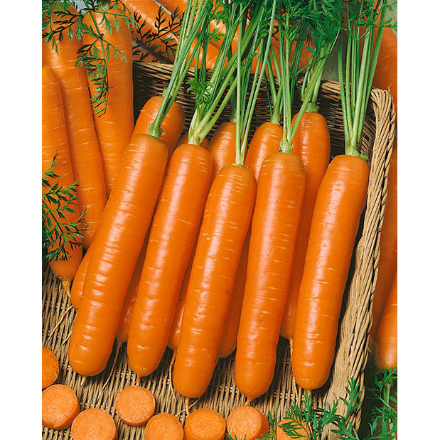 Little Fingers Carrot Seeds