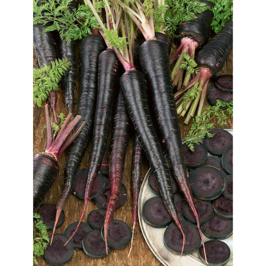 Black Nebula Carrot Seeds