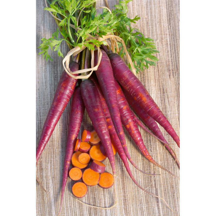 Cosmic Purple Carrot Seeds