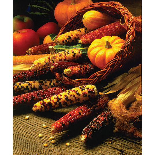 Mini Indian Mixed Ornamental Corn Seeds
