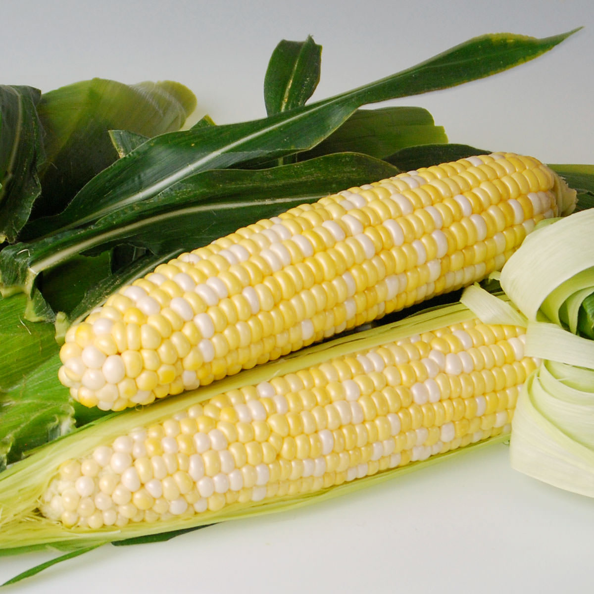 Sweetness Sweet Corn Seeds