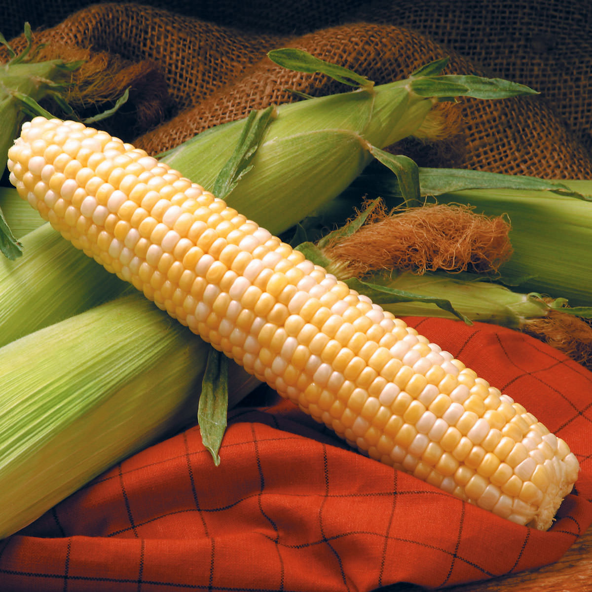 Providence TripleSweet Sweet Corn Seeds
