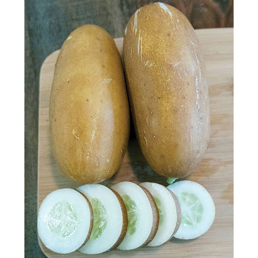 Brown Russian Cucumber Seeds