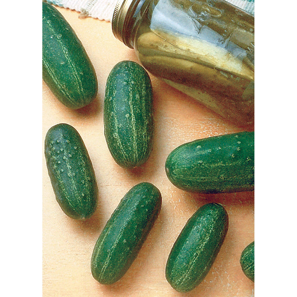 Homemade Pickles Cucumber Seeds