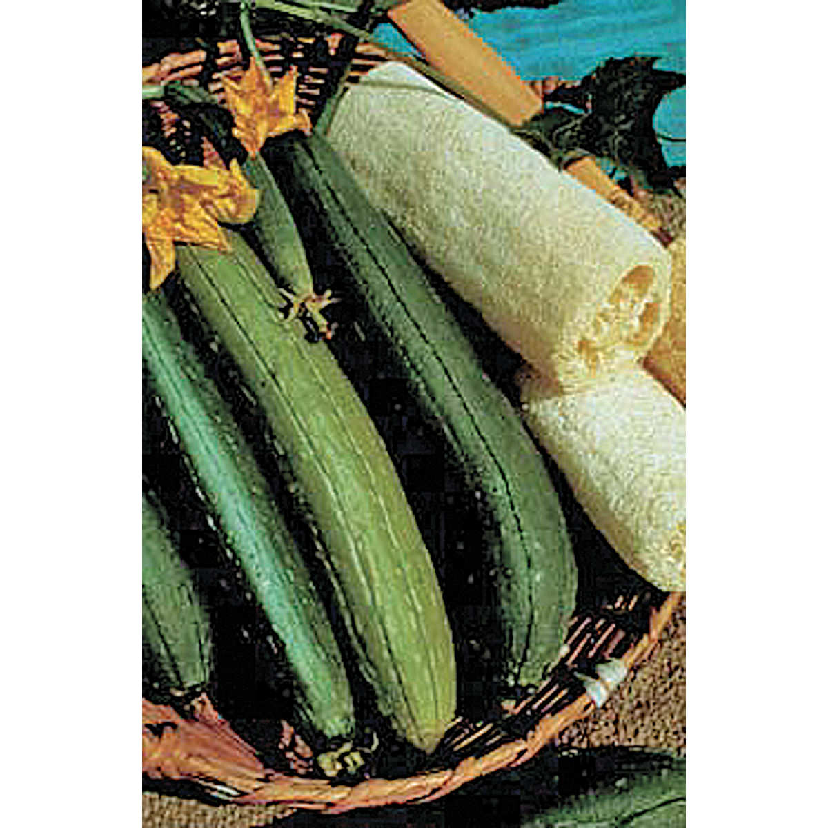 Luffa (Loofa) Gourd Seeds