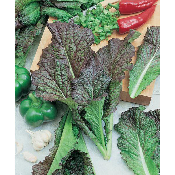 Red Giant Mustard Greens Seeds