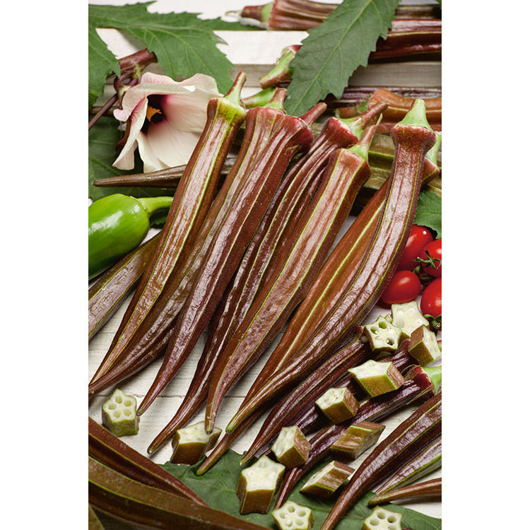 Red Burgundy Okra Seeds
