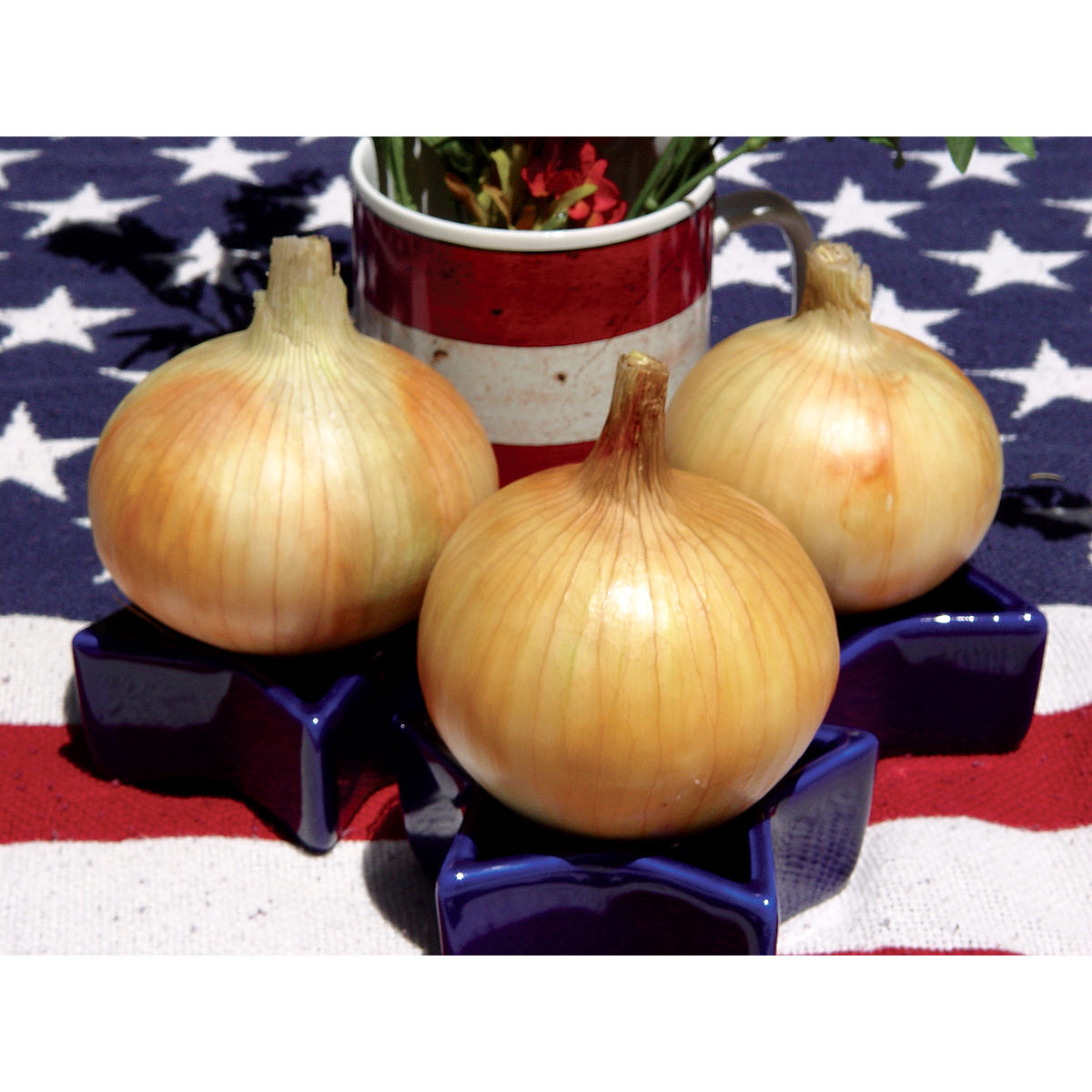 Timon F1 Hybrid Onion Seeds