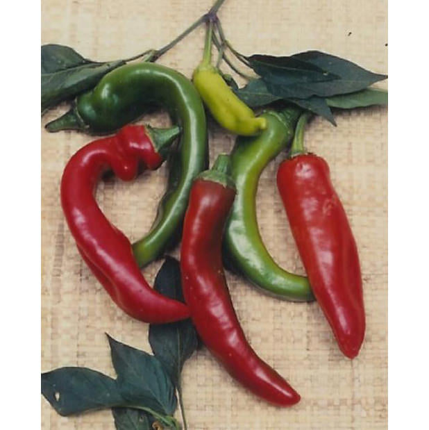 Anaheim Pepper Seeds