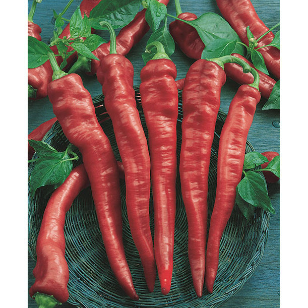 Cayenne Long Slim Pepper Seeds