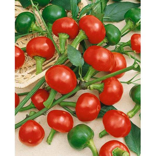 Large Red Cherry Hot Pepper Seeds