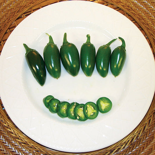 Bubba F1 Hybrid Jalapeño Pepper Seeds