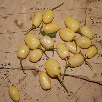 Habanero White Pepper Seeds